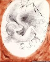 Mythology "Leda & Swan" by Salvador Dali